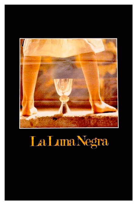 Póster de la película La luna negra
