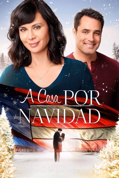 Póster de la película A casa por Navidad