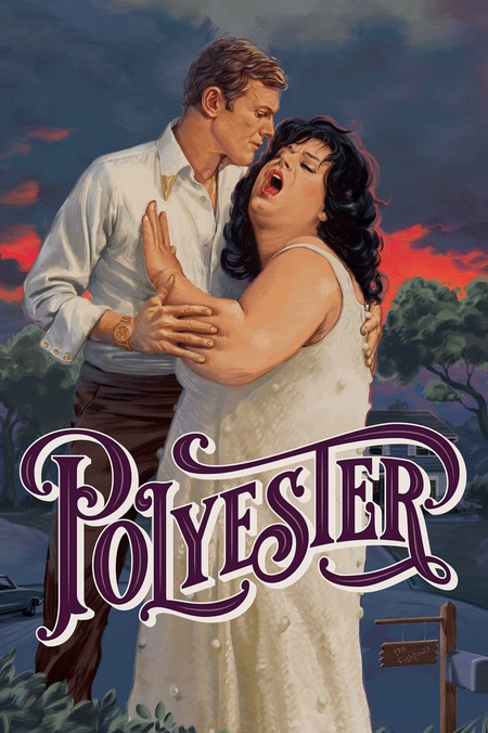 Póster de la película Polyester