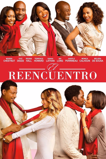 Póster de la película El reencuentro