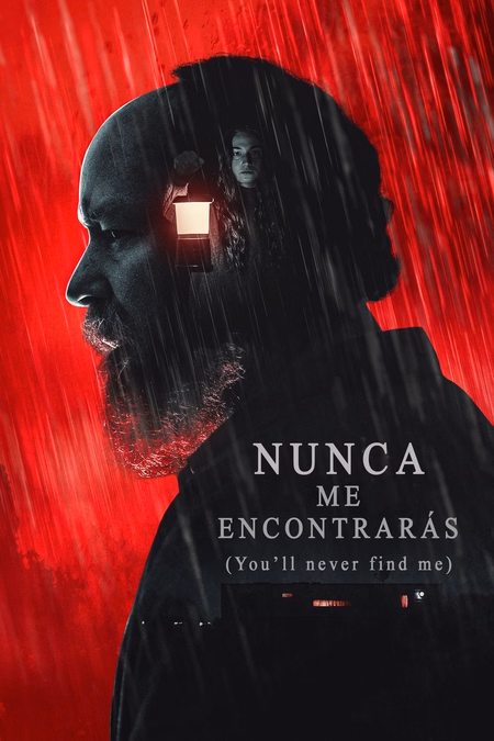 Póster de la película Nunca Me Encontrarás