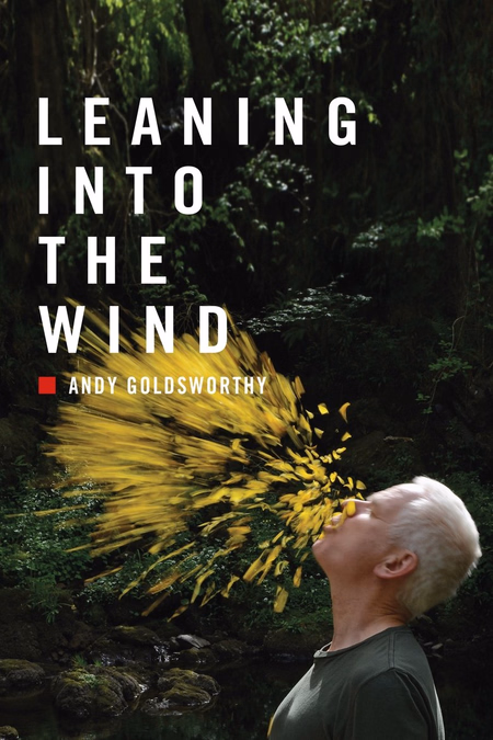 Póster de la película Leaning Into the Wind: Andy Goldsworthy