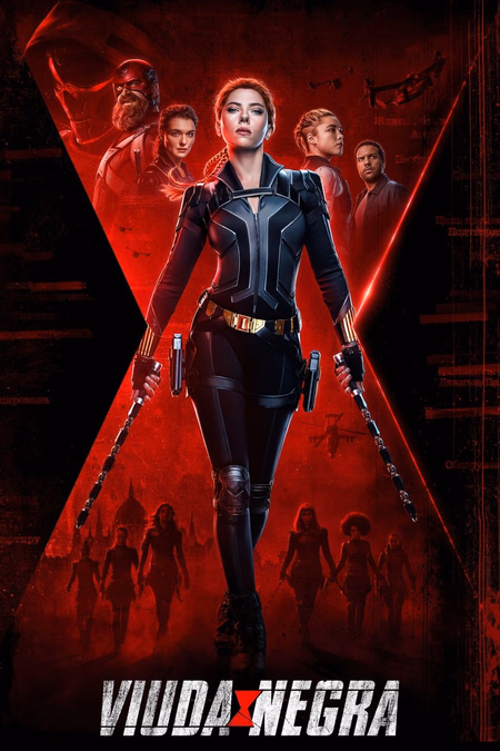 Póster de la película Viuda negra