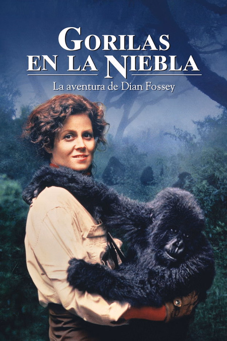 Póster de la película Gorilas en la niebla