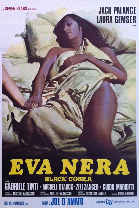 Póster de la película Black Cobra