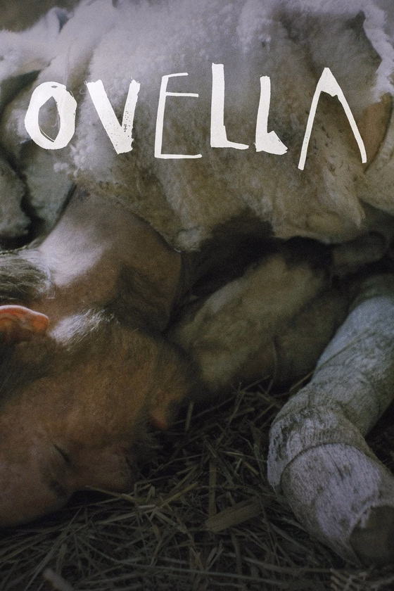 Póster de Ovella