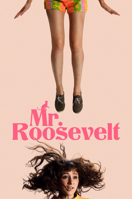 Póster de la película Mr. Roosevelt