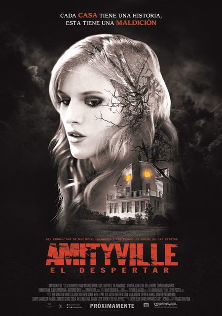 Póster de la película Amityville: El despertar