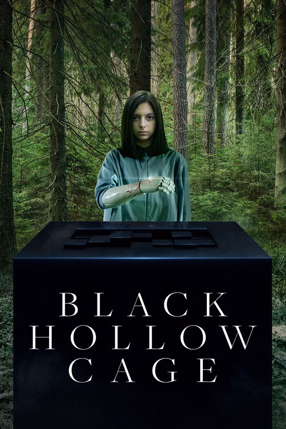 Póster de Black Hollow Cage