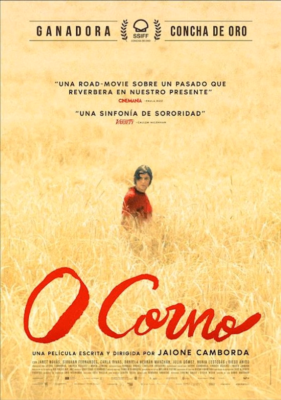 Póster de O corno