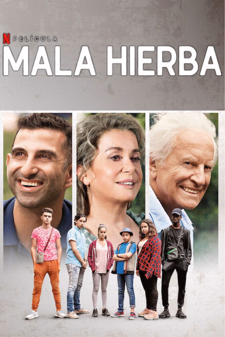 Póster de la película Mala hierba