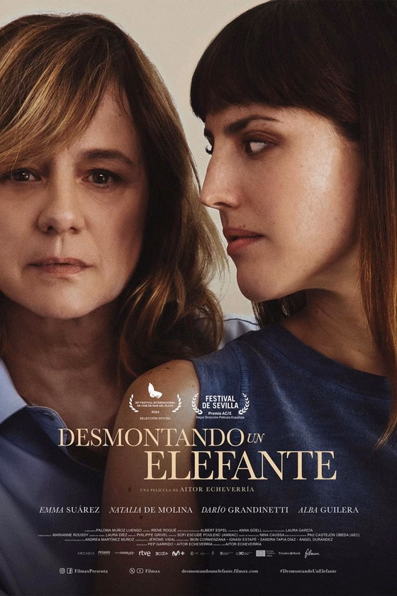 Póster de Desmontando un elefante