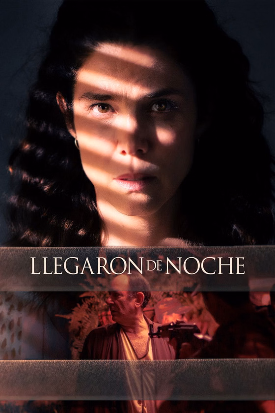 Póster de Llegaron de noche