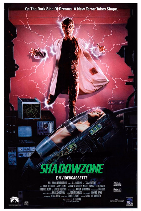 Póster de la película Shadowzone