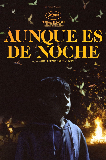 Póster de la película Aunque es de noche