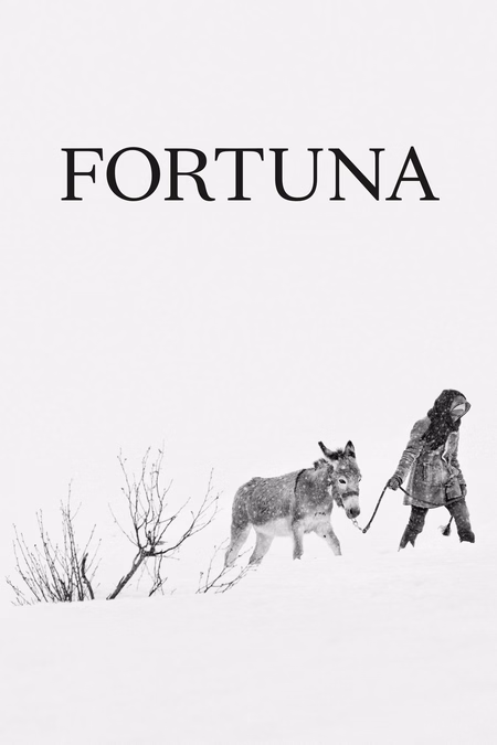 Póster de la película Fortuna