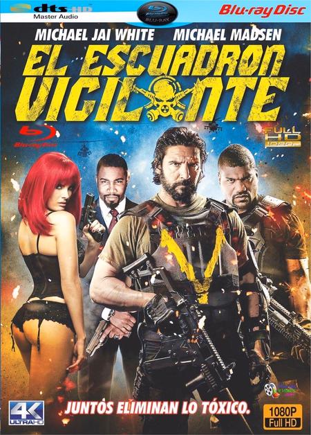 Póster de la película El escuadrón vigilante