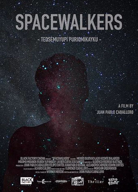Póster de la película Spacewalkers