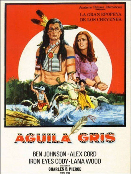 Póster de la película Aguila gris