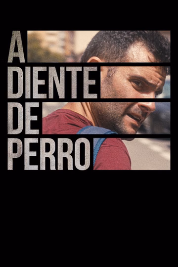 Póster de A diente de perro