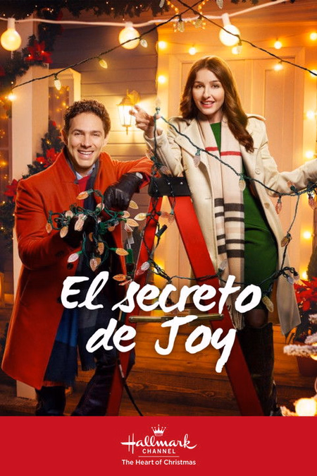 Póster de la película El secreto de Joy