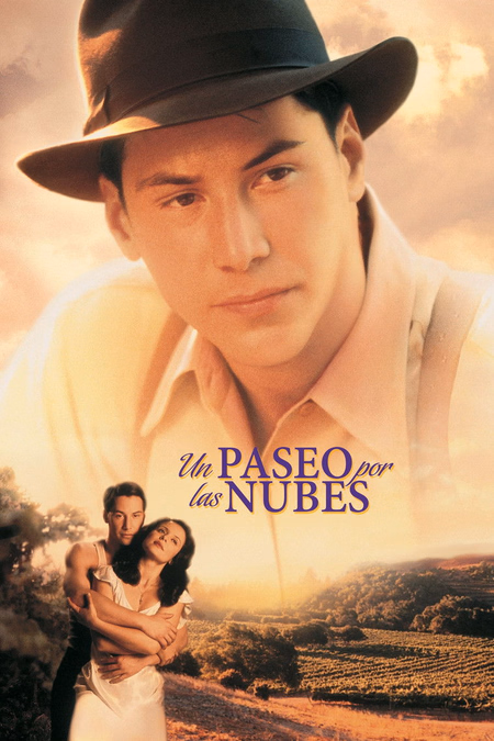 Póster de la película Un paseo por las nubes