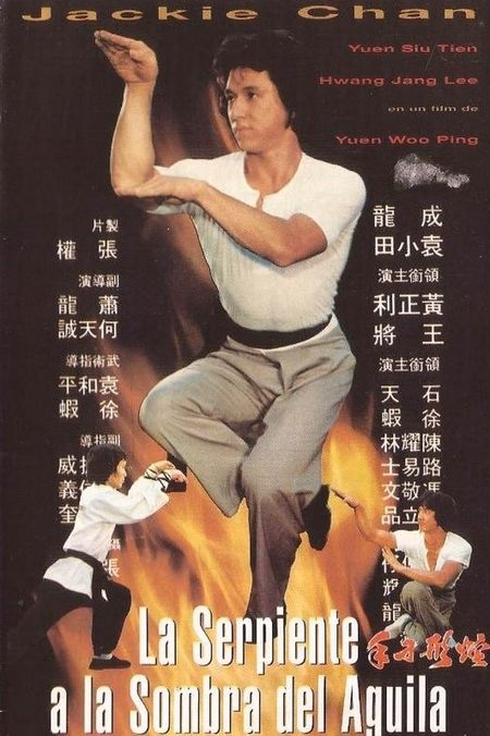 Póster de la película La serpiente a la sombra del águila