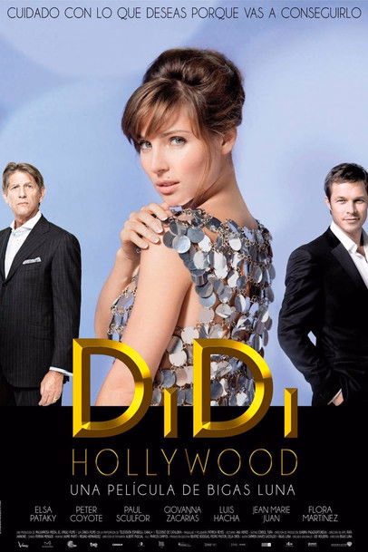 Póster de la película DiDi Hollywood