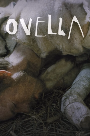 Póster de Ovella