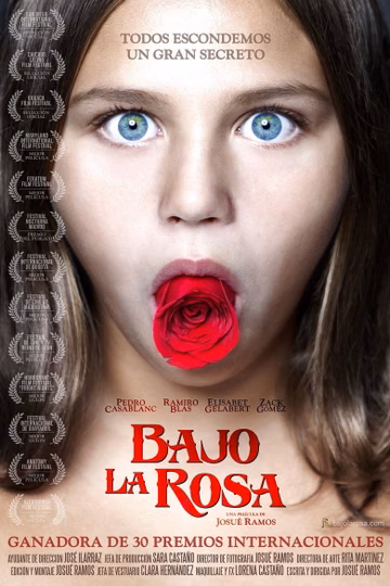 Póster de Bajo la rosa