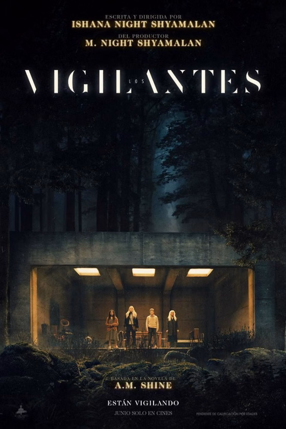 Póster de Los vigilantes