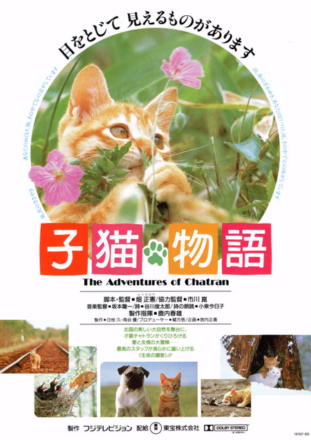 Póster de la película Las aventuras de Chatrán