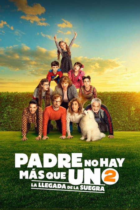 Póster de la película Padre no hay más que uno 2: la llegada de la suegra