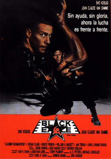 Póster de la película Águila Negra