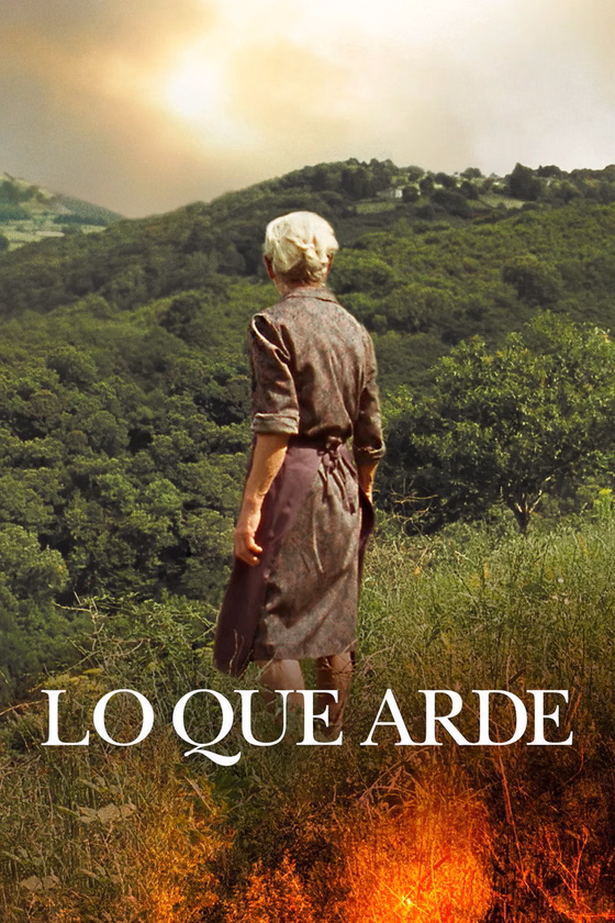 Póster de Lo que arde