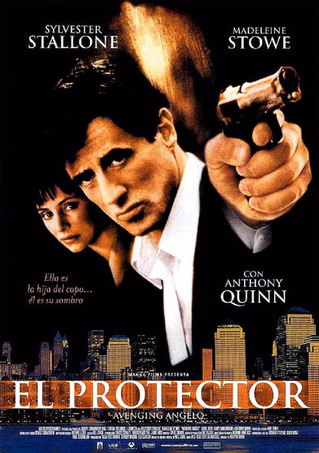 Póster de la película El protector