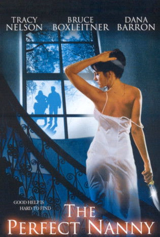 Póster de la película La niñera perfecta