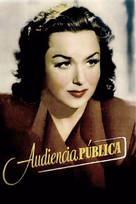 Póster de la película Audiencia pública