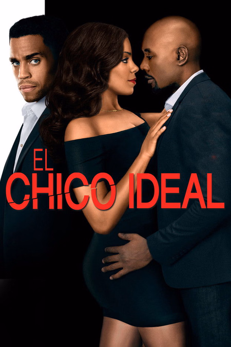 Póster de la película El chico ideal
