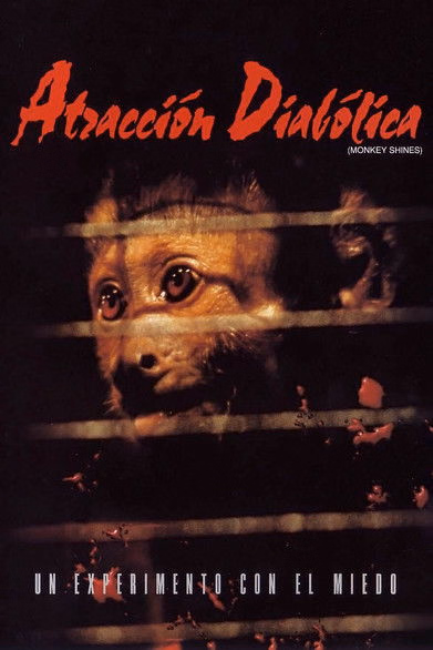 Póster de la película Atracción diabólica
