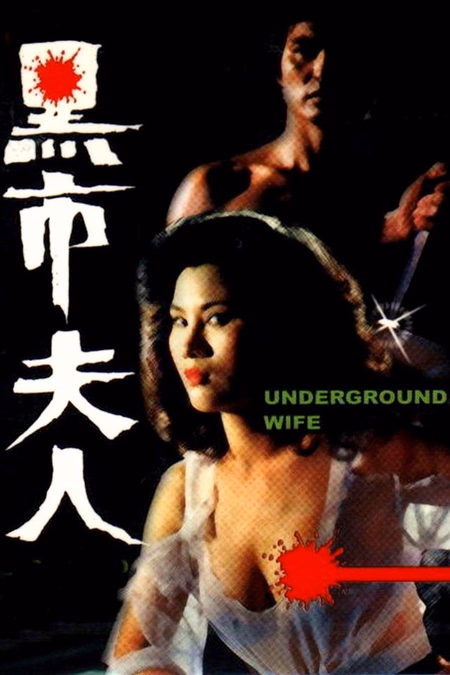Póster de la película Underground Wife