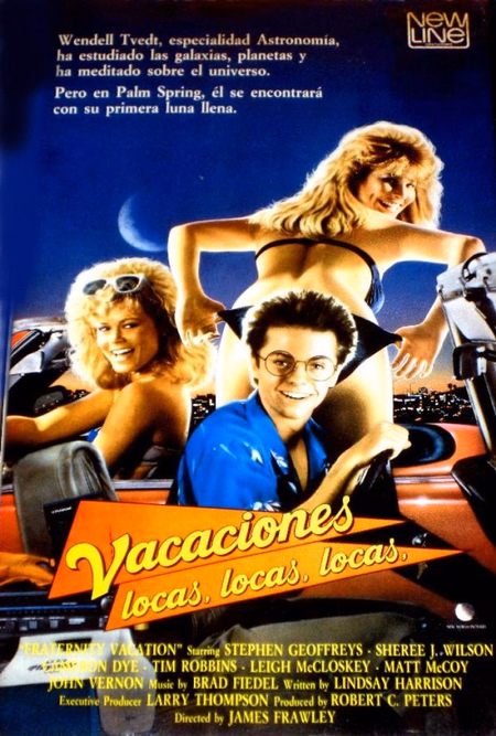 Póster de la película Vacaciones locas, locas, locas