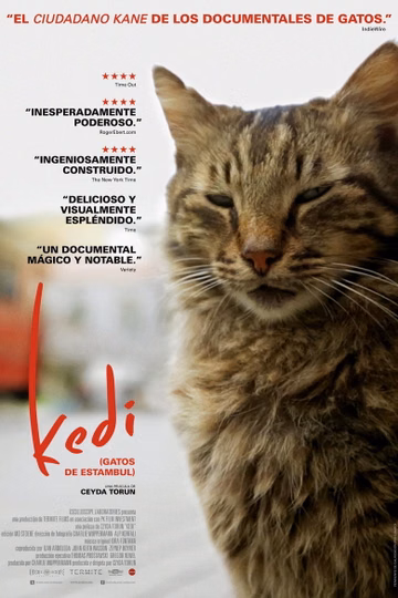 Póster de Kedi (Gatos de Estambul)