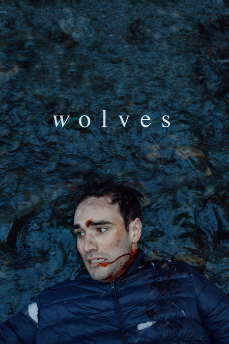 Póster de la película Wolves