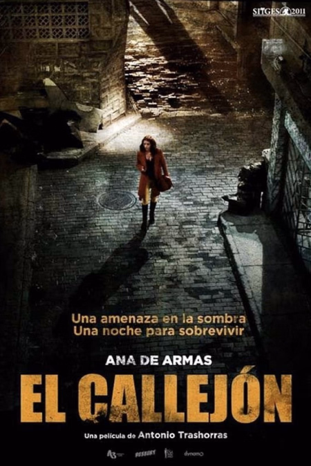 Póster de la película El callejón