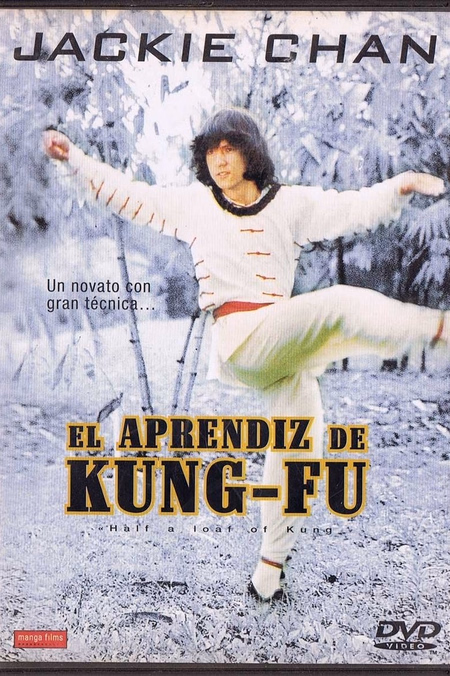 Póster de la película El aprendiz de Kung Fu
