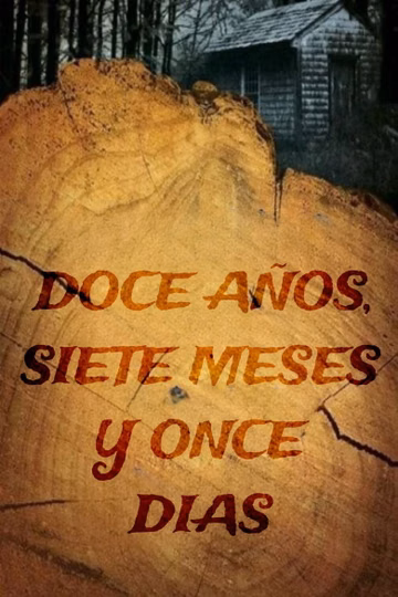 Póster de 12 años, 7 meses y 11 días
