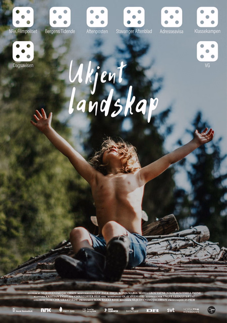 Póster de la película Ukjent landskap