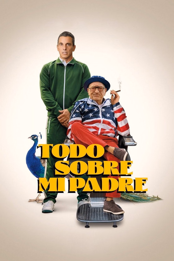 Póster de Todo sobre mi padre