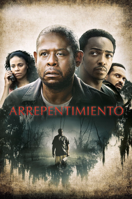 Póster de la película Repentance